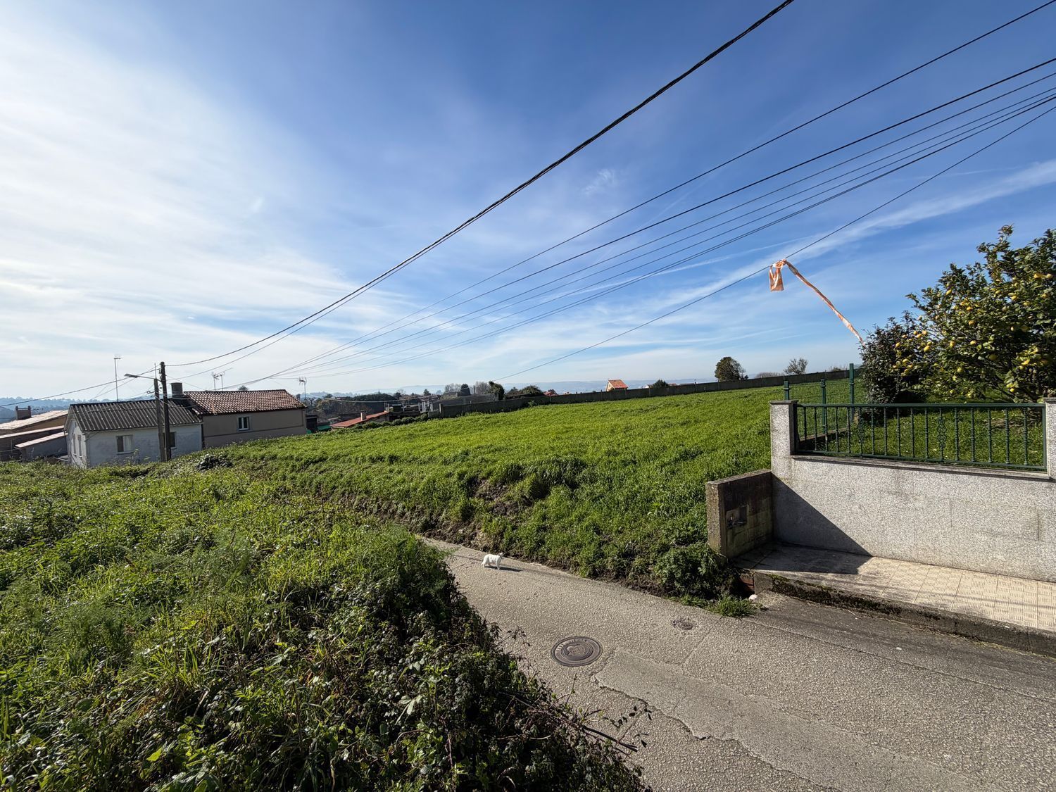 Fincas y solares-Venta-Oleiros-2418917-Foto-9
