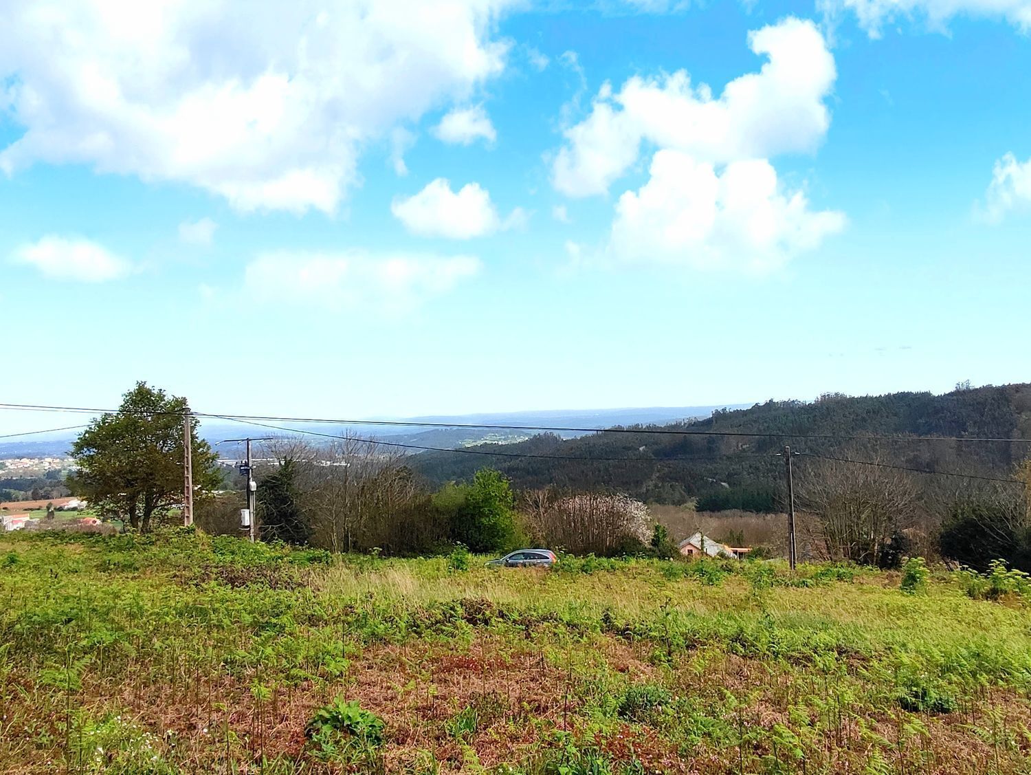 Fincas y solares-Venta-Carral-2418923-Foto-6
