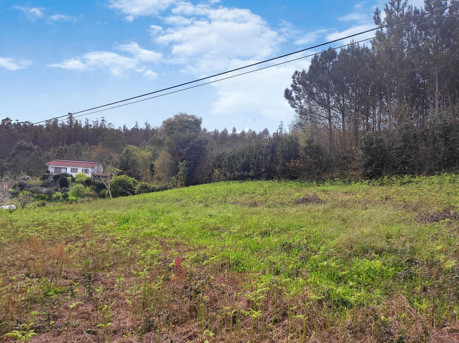 Fincas y solares-Venta-Carral-2418923-Foto-5