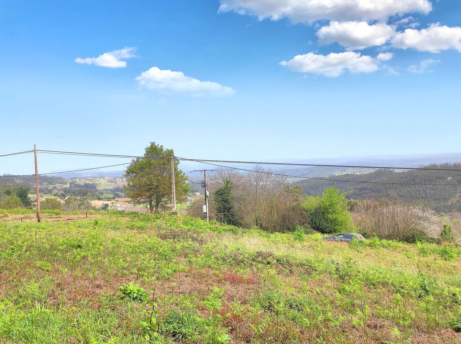 Fincas y solares-Venta-Carral-2418923-Foto-3