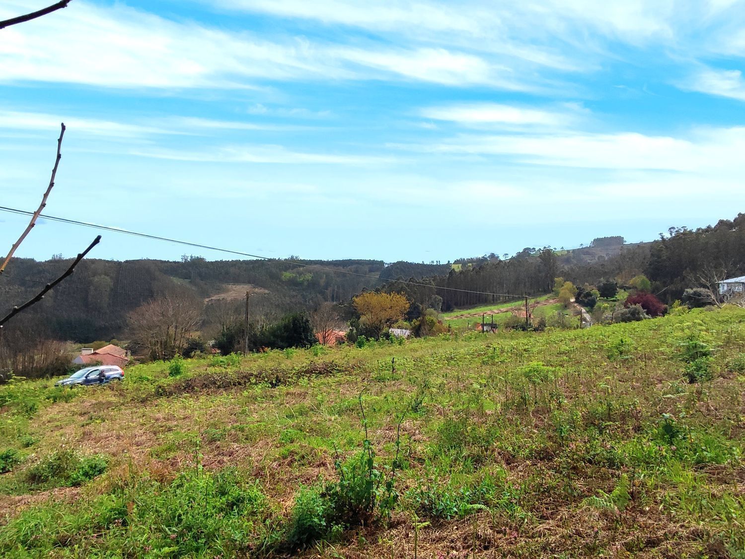 Fincas y solares-Venta-Carral-2418923-Foto-4