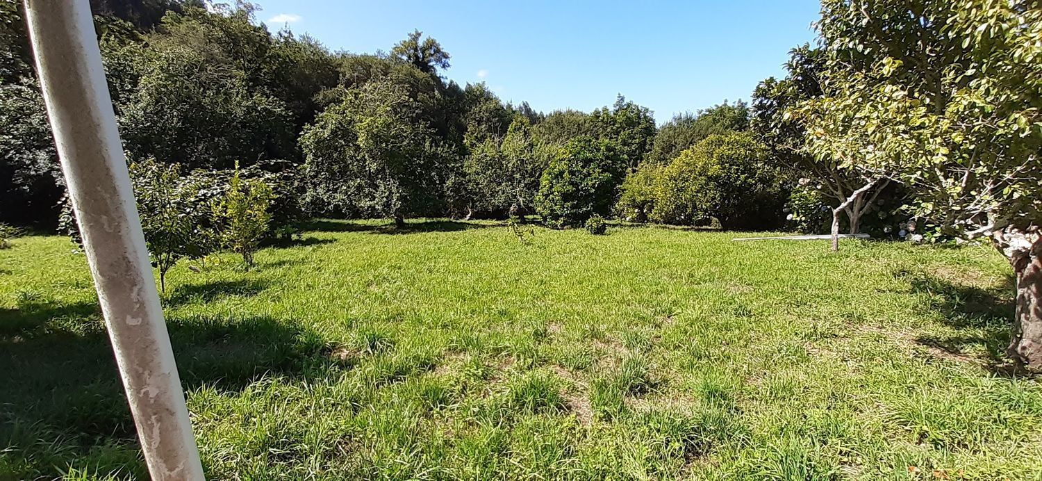 Negocios-Venta-Cedeira-2418929-Foto-3