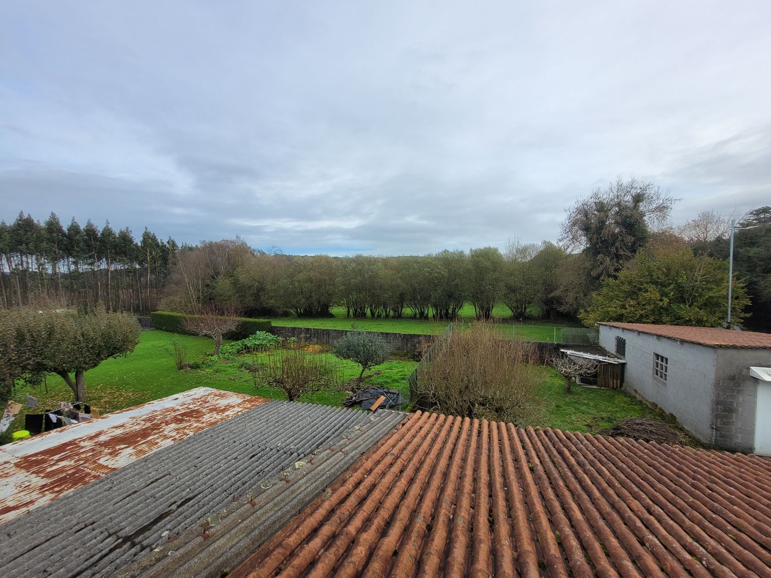 Casas o chalets-Venta-Boimorto-2418962-Foto-69