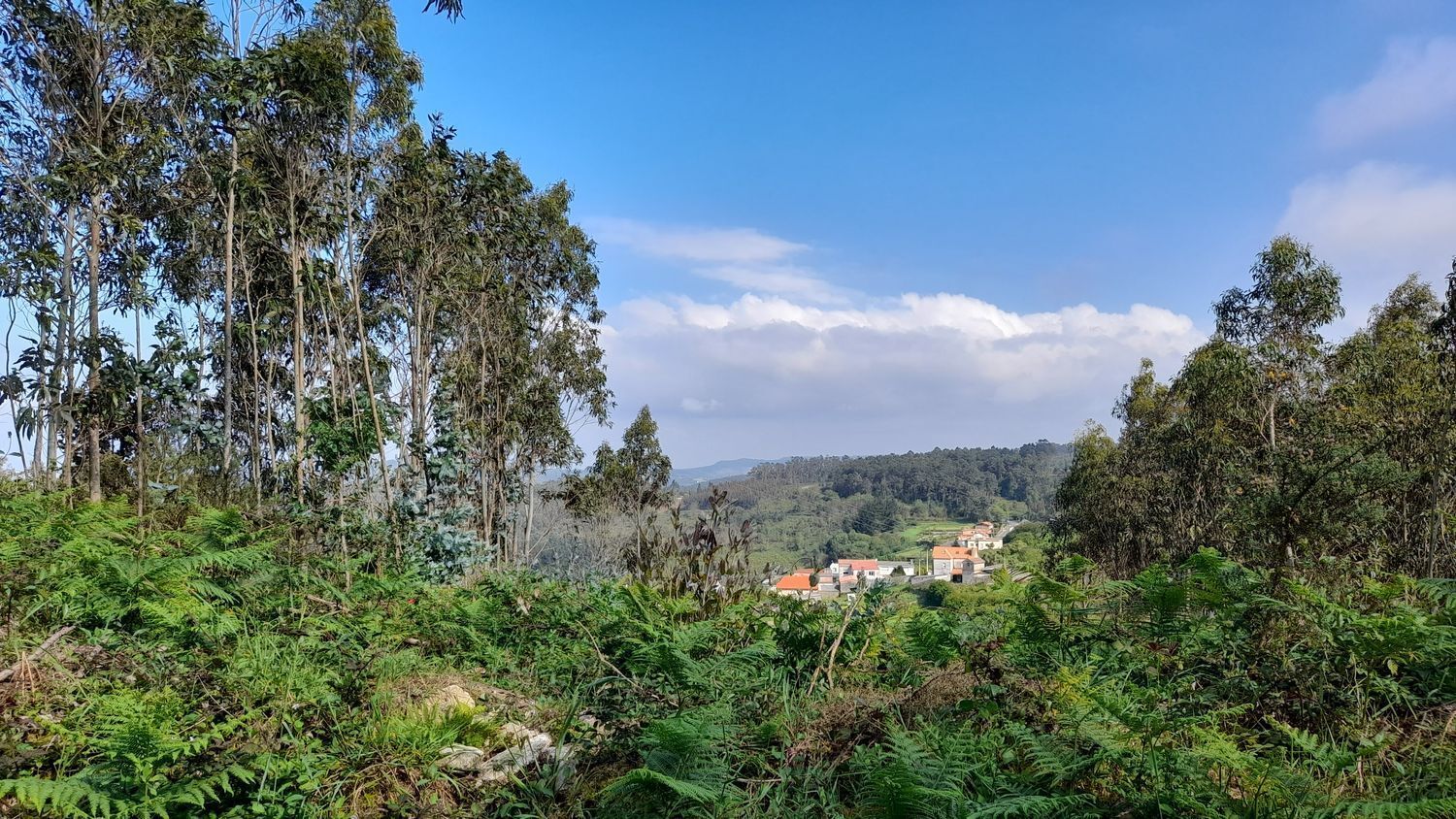 Fincas y solares-Venta-A Laracha-2418992-Foto-8