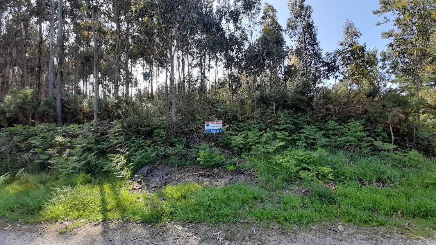 Fincas y solares-Venta-A Laracha-2418992-Foto-9