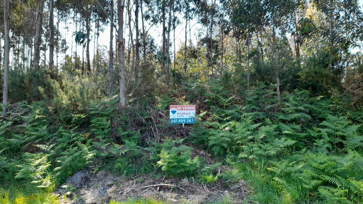 Fincas y solares-Venta-A Laracha-2418992-Foto-11