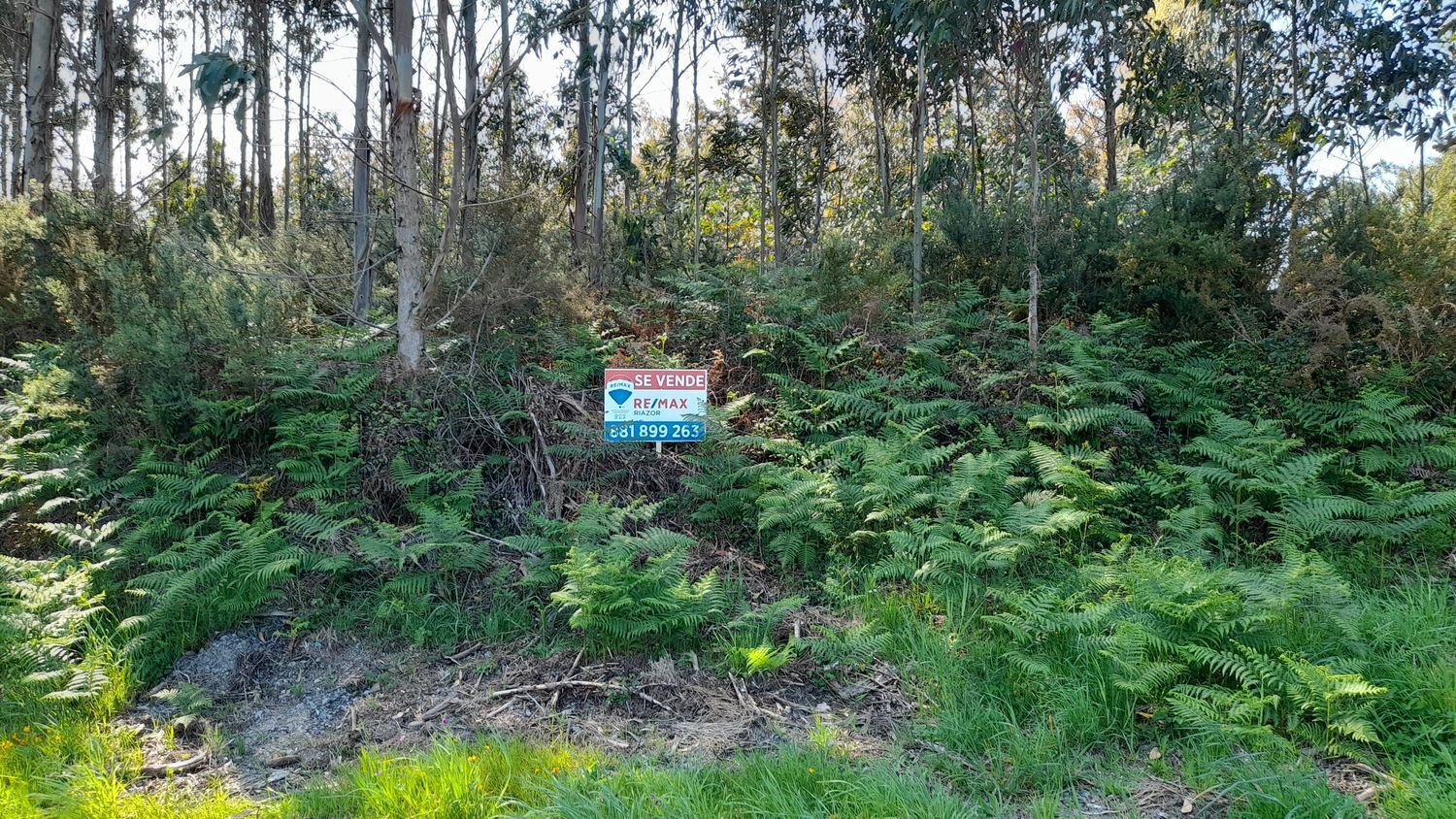 Fincas y solares-Venta-A Laracha-2418992-Foto-17