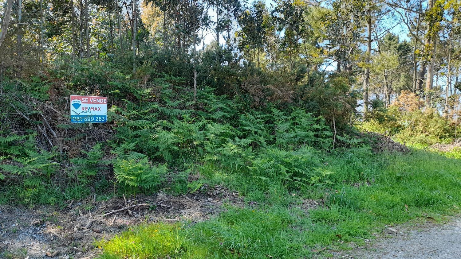Fincas y solares-Venta-A Laracha-2418992-Foto-19