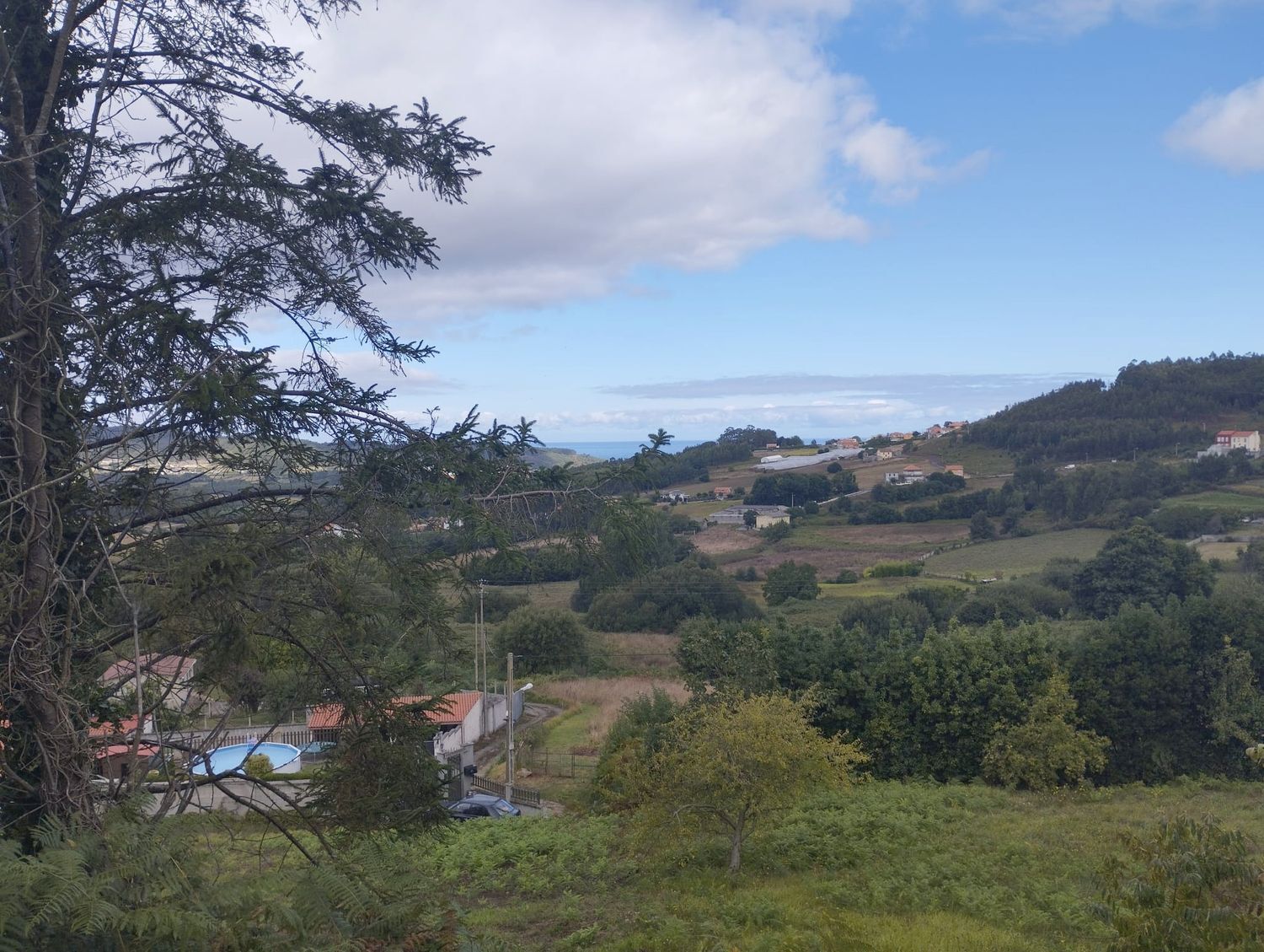 Fincas y solares-Venta-Arteixo-2418998-Foto-3