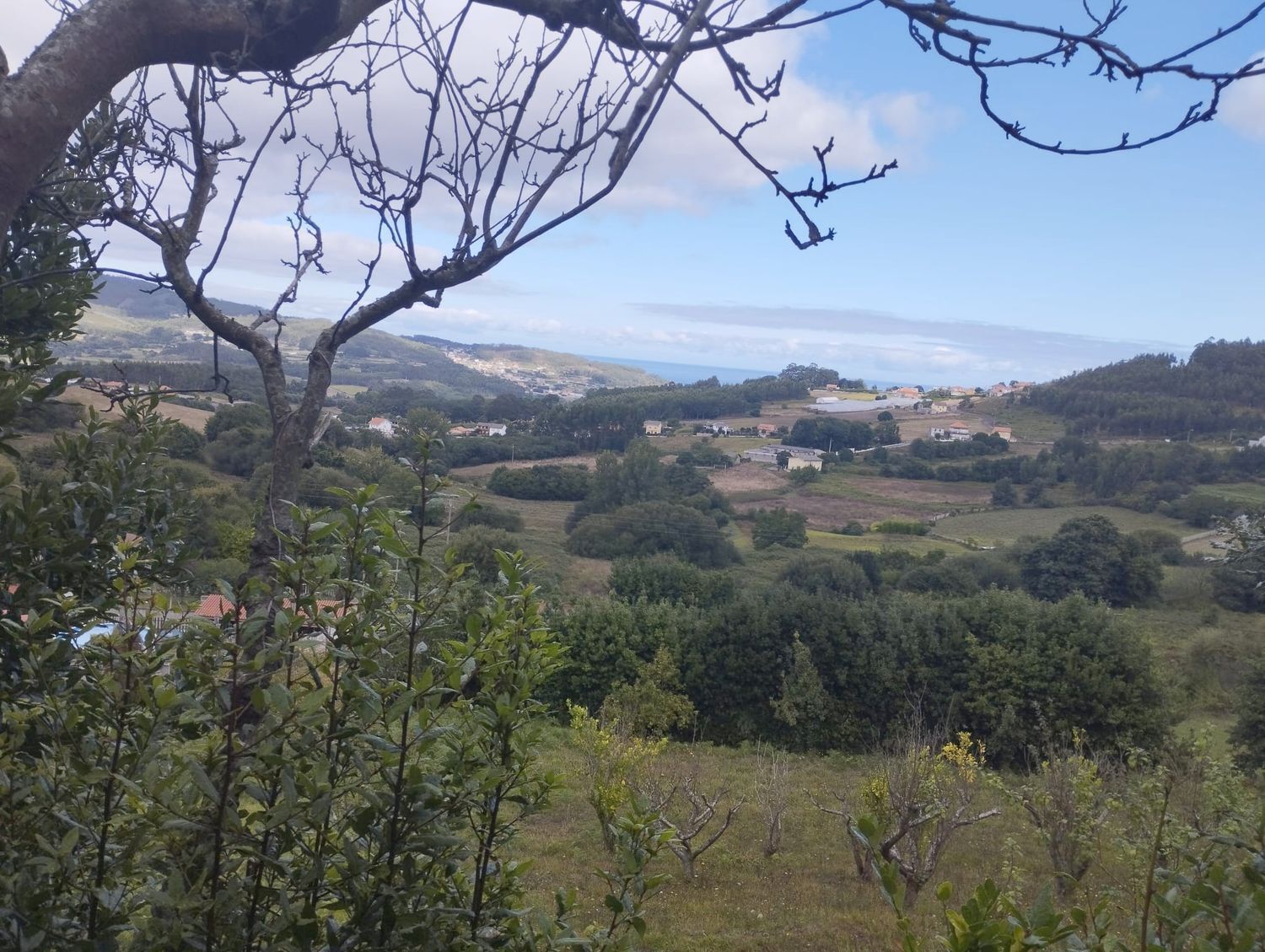 Fincas y solares-Venta-Arteixo-2418998-Foto-4