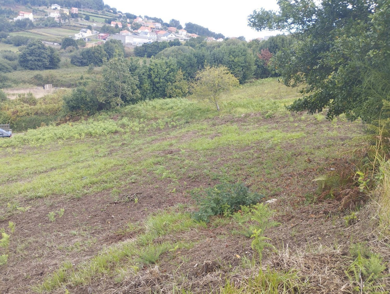 Fincas y solares-Venta-Arteixo-2418998-Foto-6