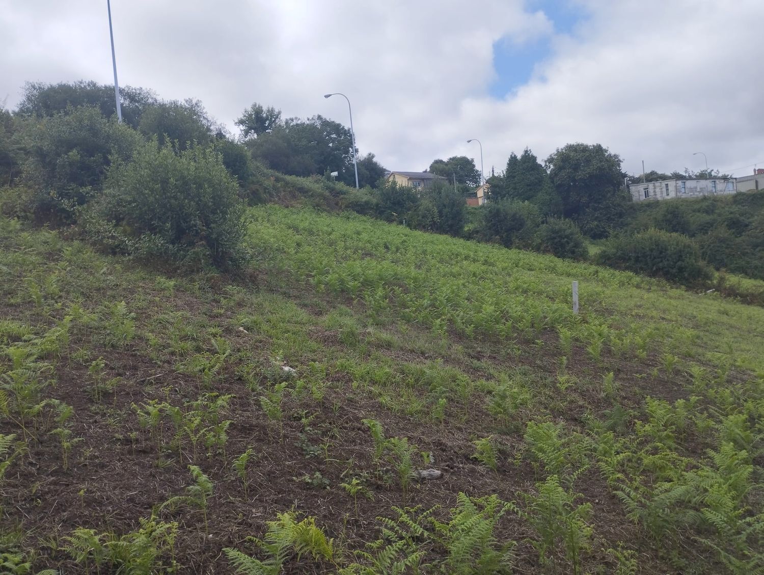 Fincas y solares-Venta-Arteixo-2418998-Foto-9