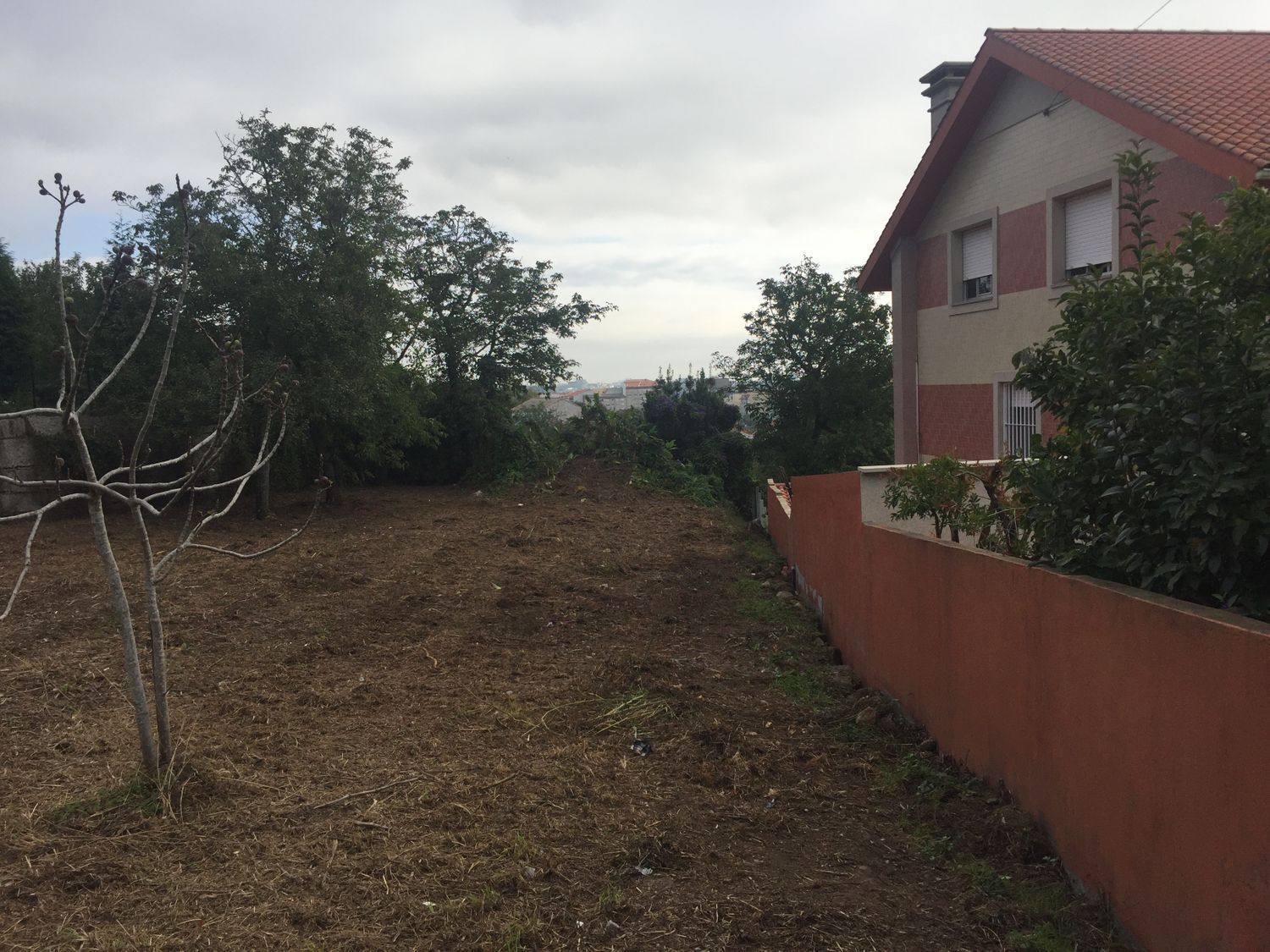 Fincas y solares-Venta-Ribeira-2419010-Foto-3