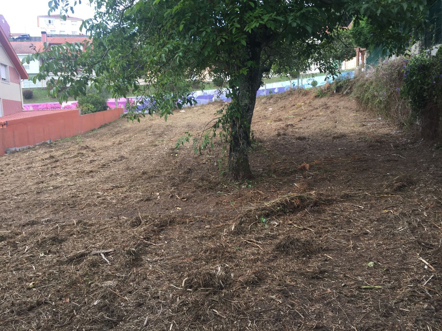 Fincas y solares-Venta-Ribeira-2419010-Foto-6