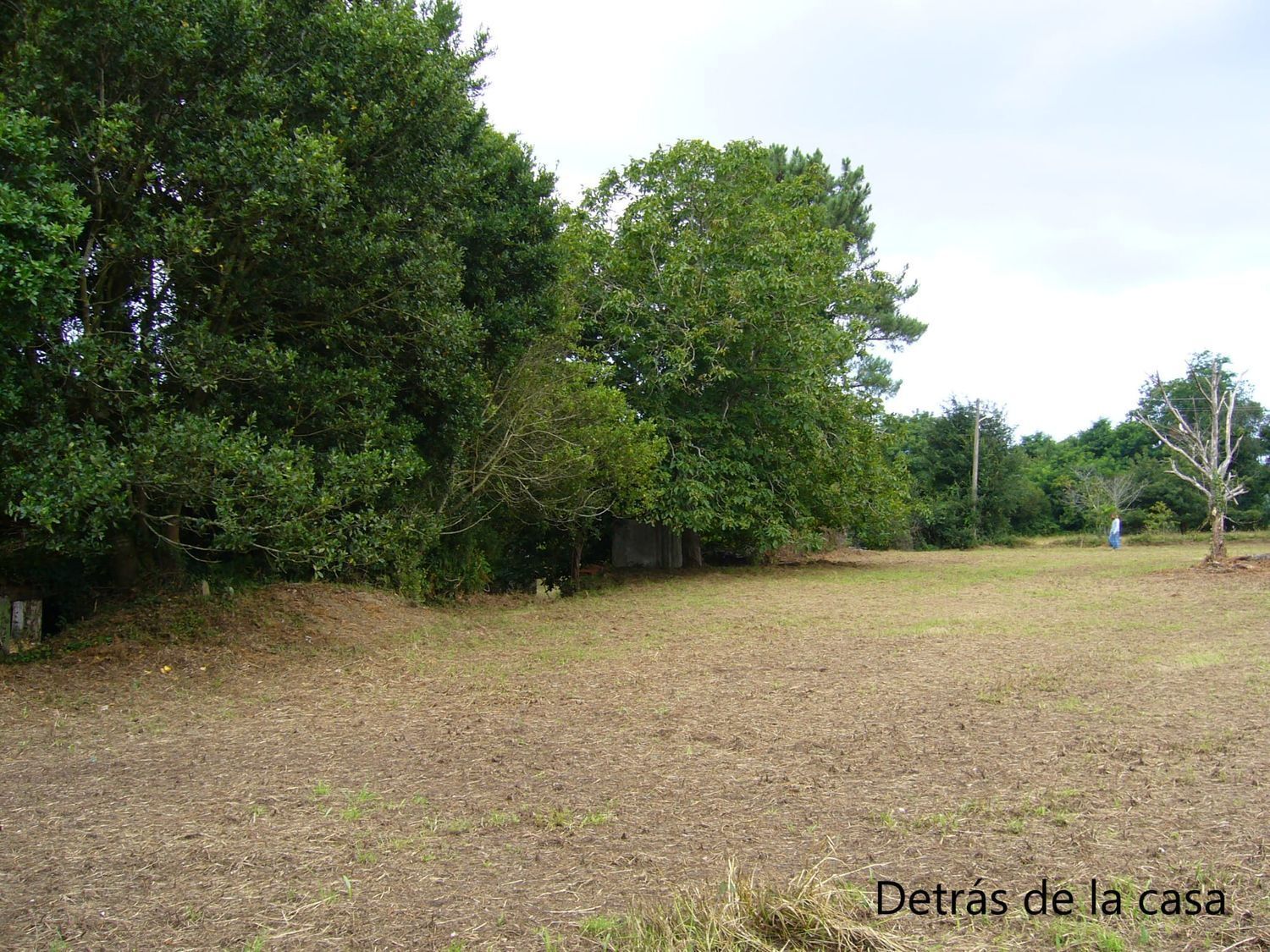 Pisos-Venta-ValdoviÃ±o-2419016-Foto-6