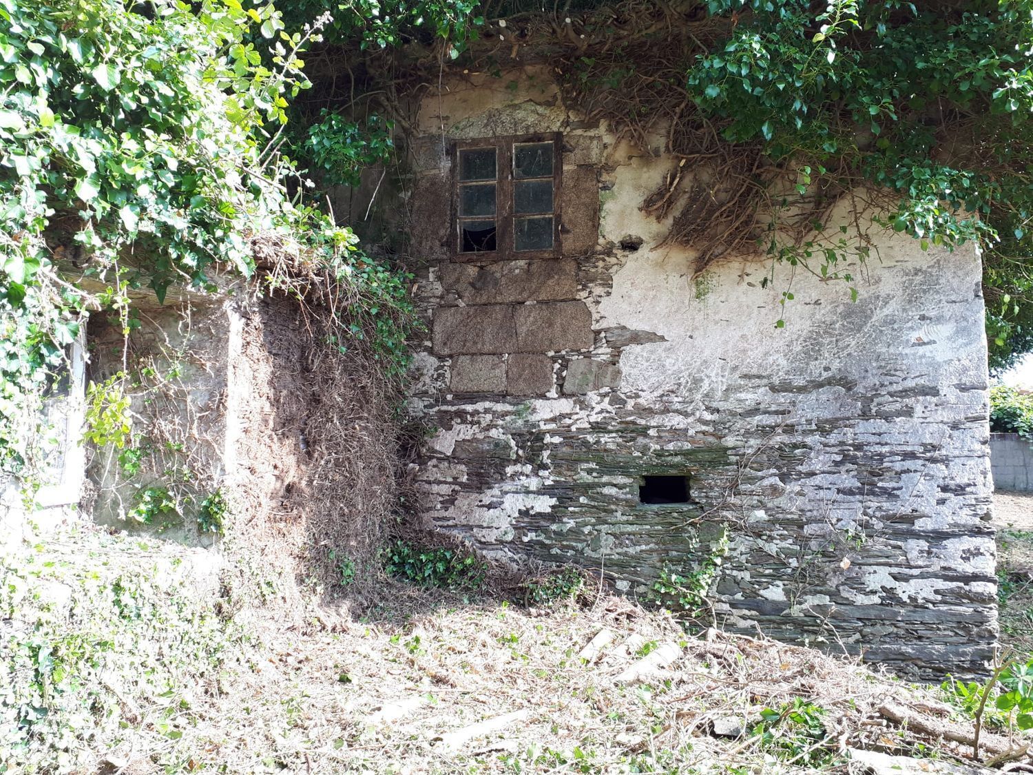 Pisos-Venta-ValdoviÃ±o-2419016-Foto-3