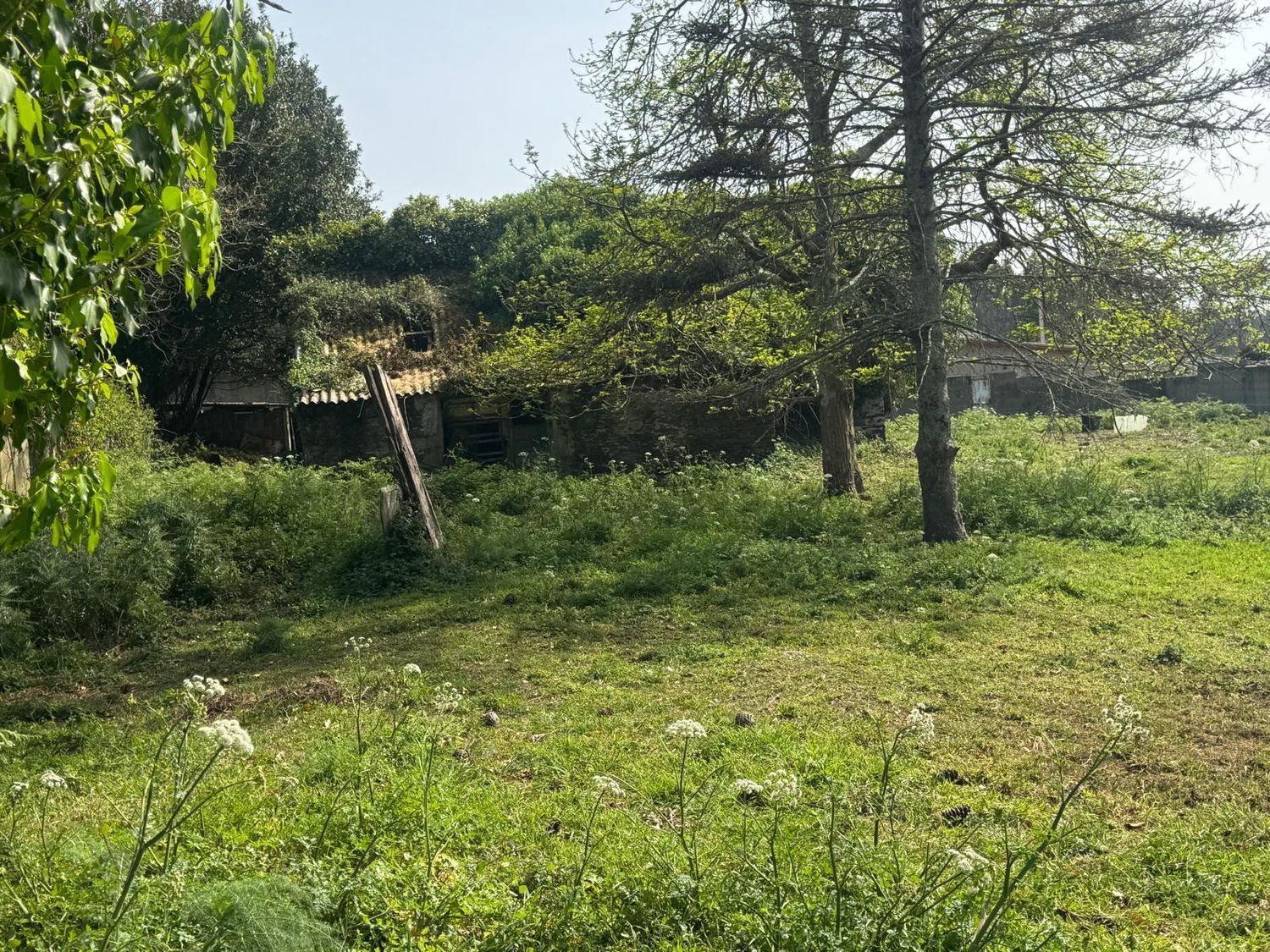 Pisos-Venta-ValdoviÃ±o-2419016-Foto-9
