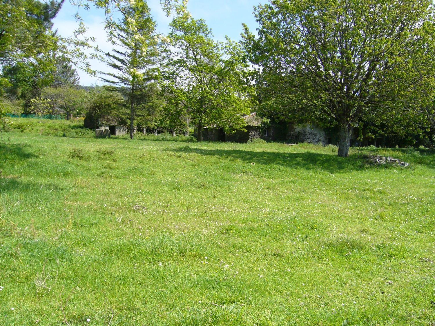 Pisos-Venta-ValdoviÃ±o-2419016-Foto-5