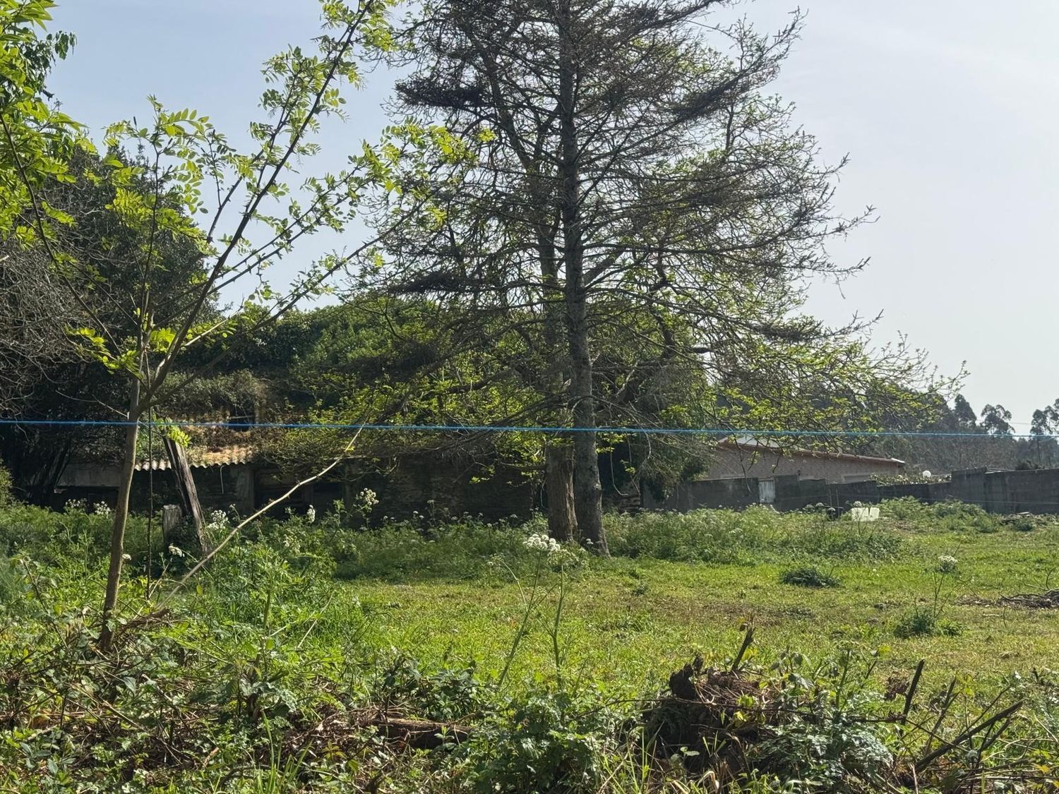 Pisos-Venta-ValdoviÃ±o-2419016-Foto-11
