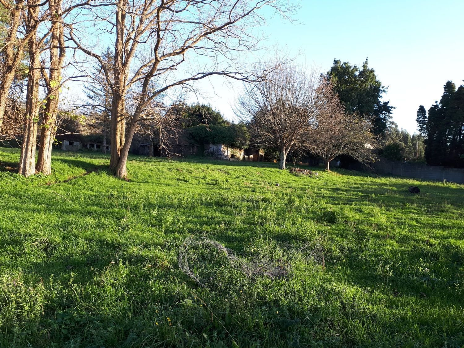 Pisos-Venta-ValdoviÃ±o-2419016-Foto-10