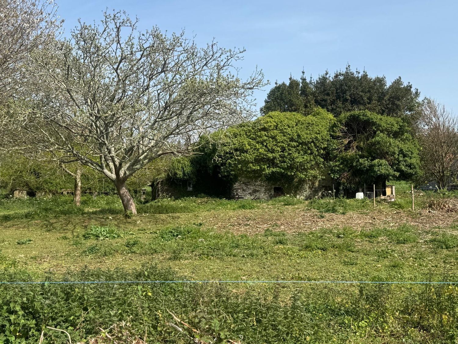 Pisos-Venta-ValdoviÃ±o-2419016-Foto-13