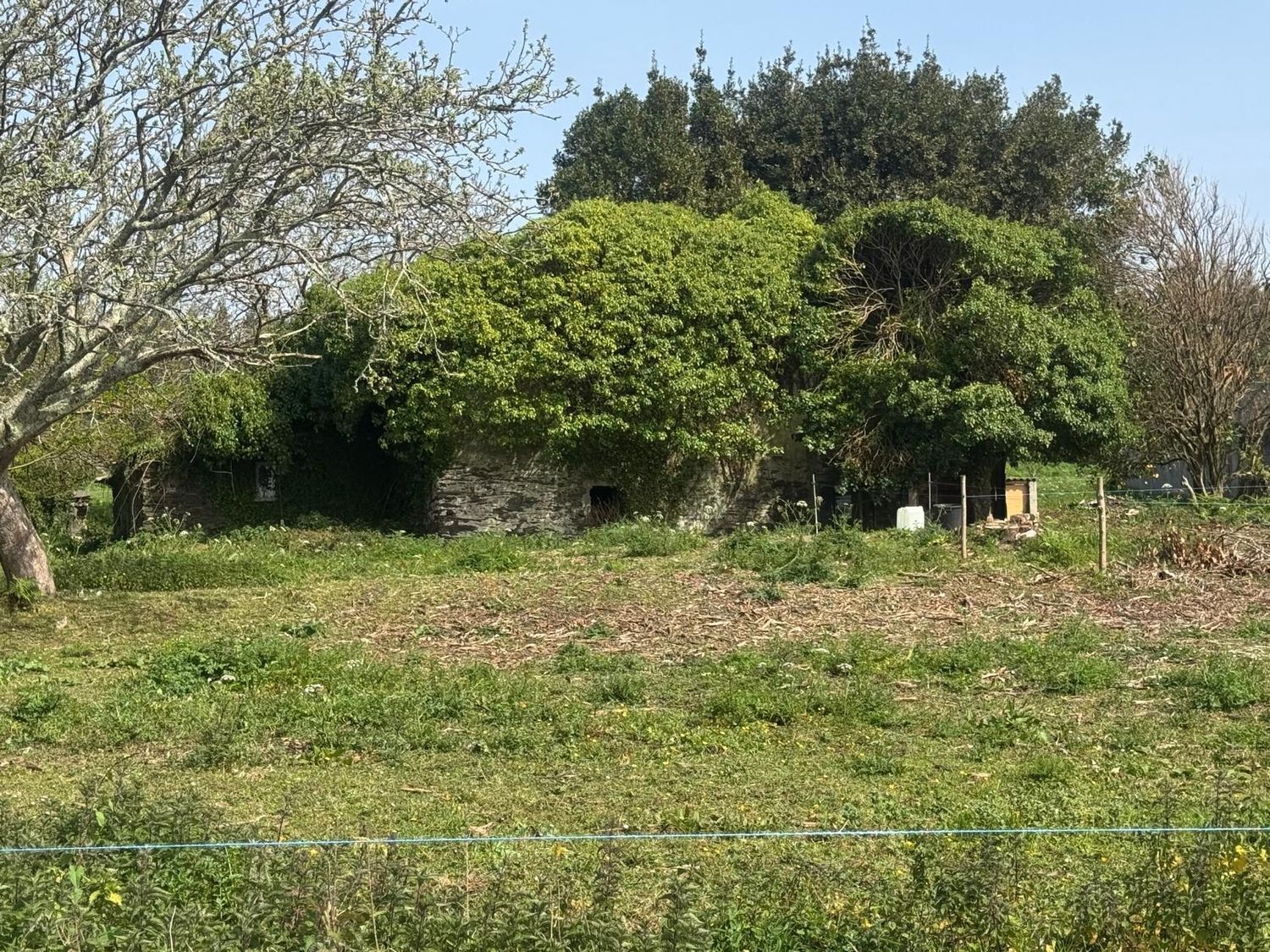 Pisos-Venta-ValdoviÃ±o-2419016-Foto-14