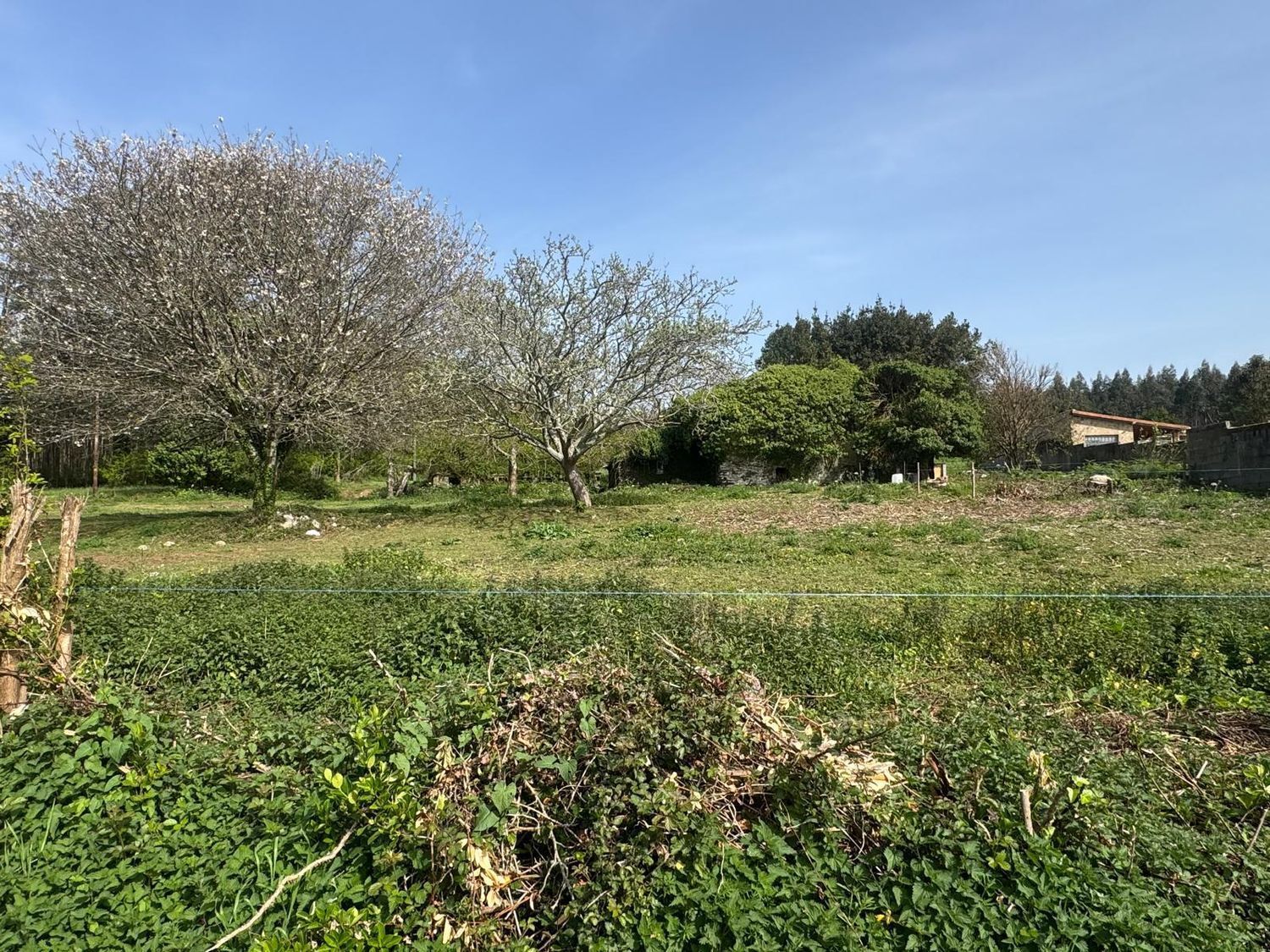 Pisos-Venta-ValdoviÃ±o-2419016-Foto-12