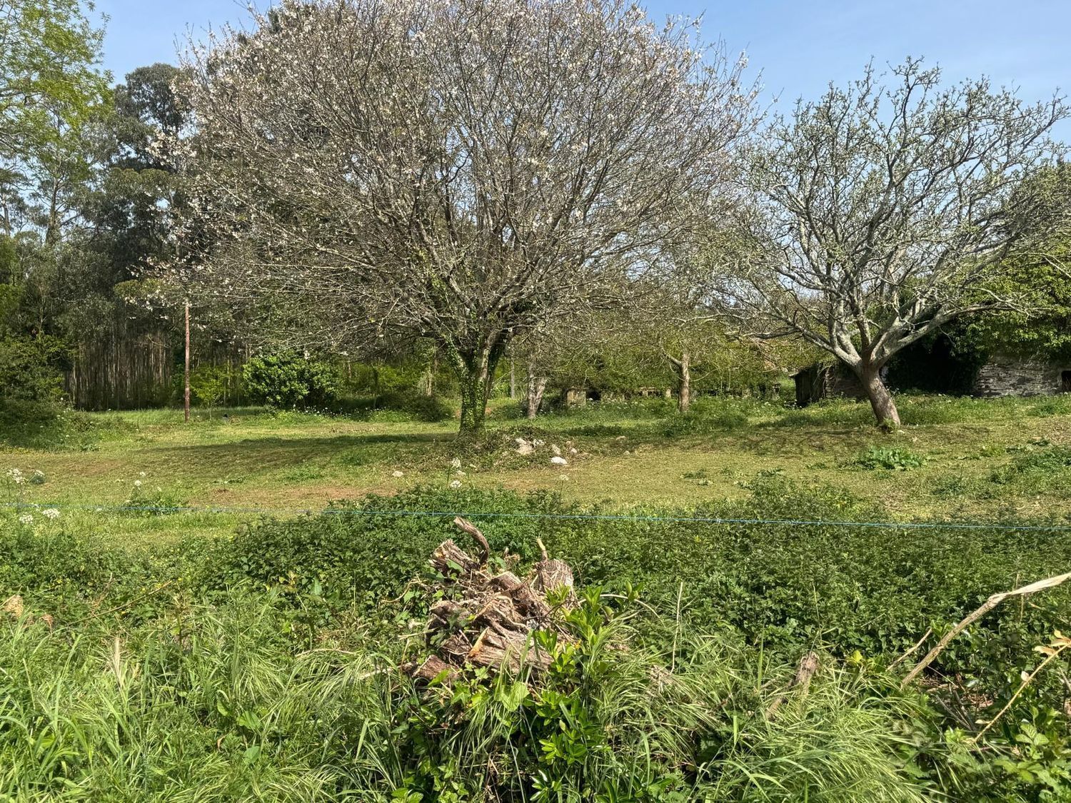 Pisos-Venta-ValdoviÃ±o-2419016-Foto-15