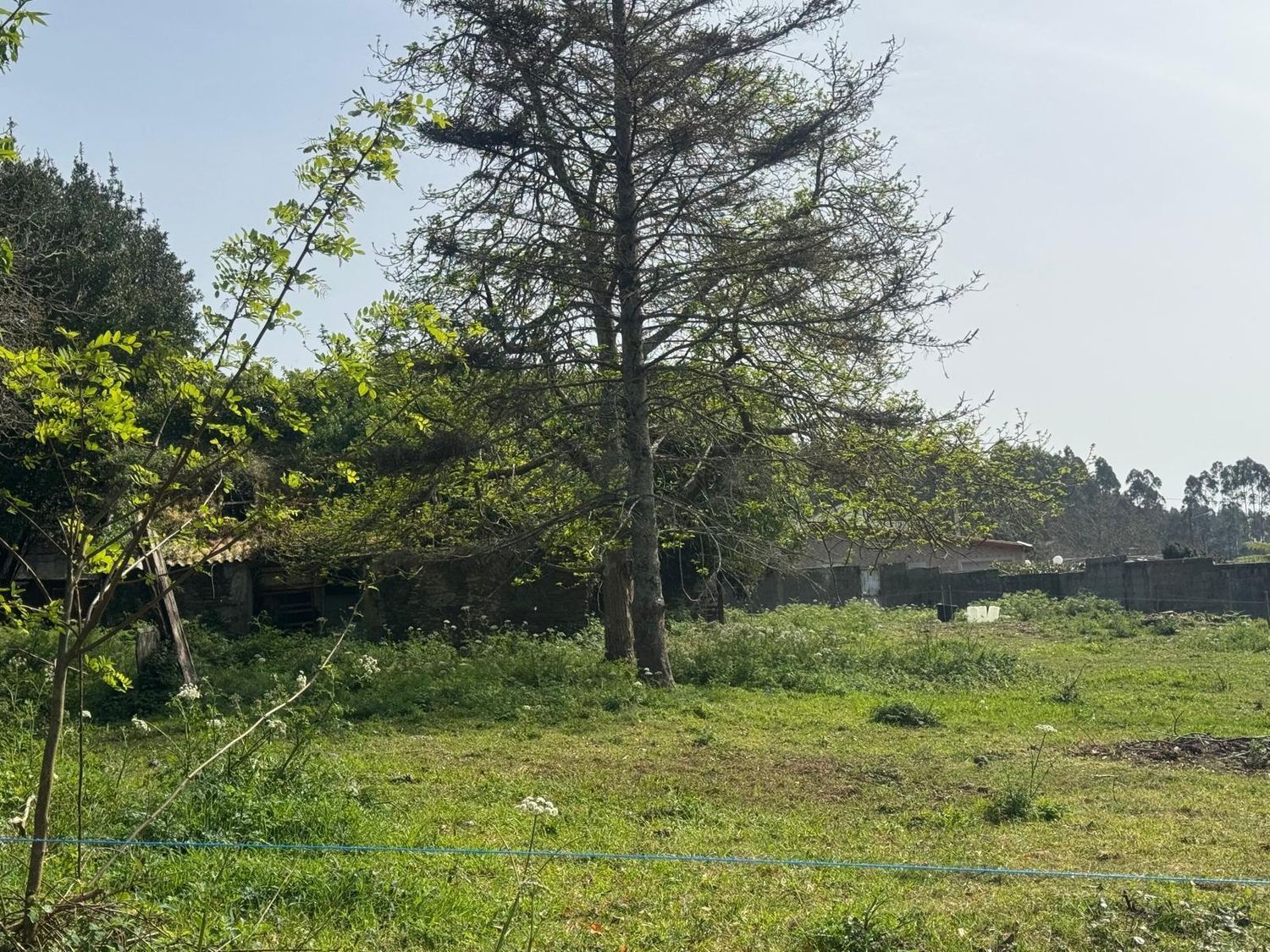 Pisos-Venta-ValdoviÃ±o-2419016-Foto-16