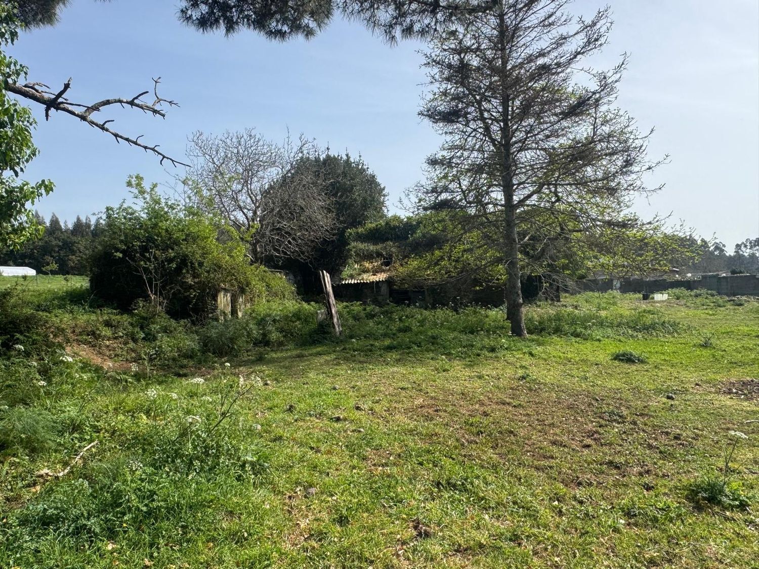 Pisos-Venta-ValdoviÃ±o-2419016-Foto-20