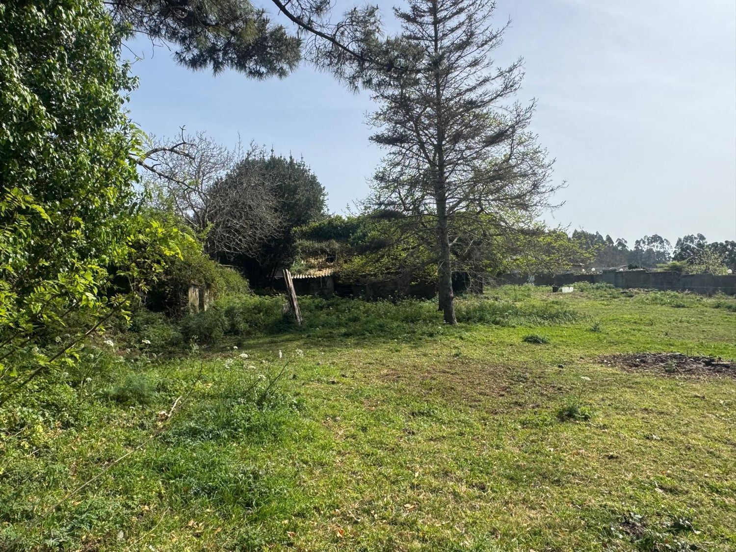 Pisos-Venta-ValdoviÃ±o-2419016-Foto-21