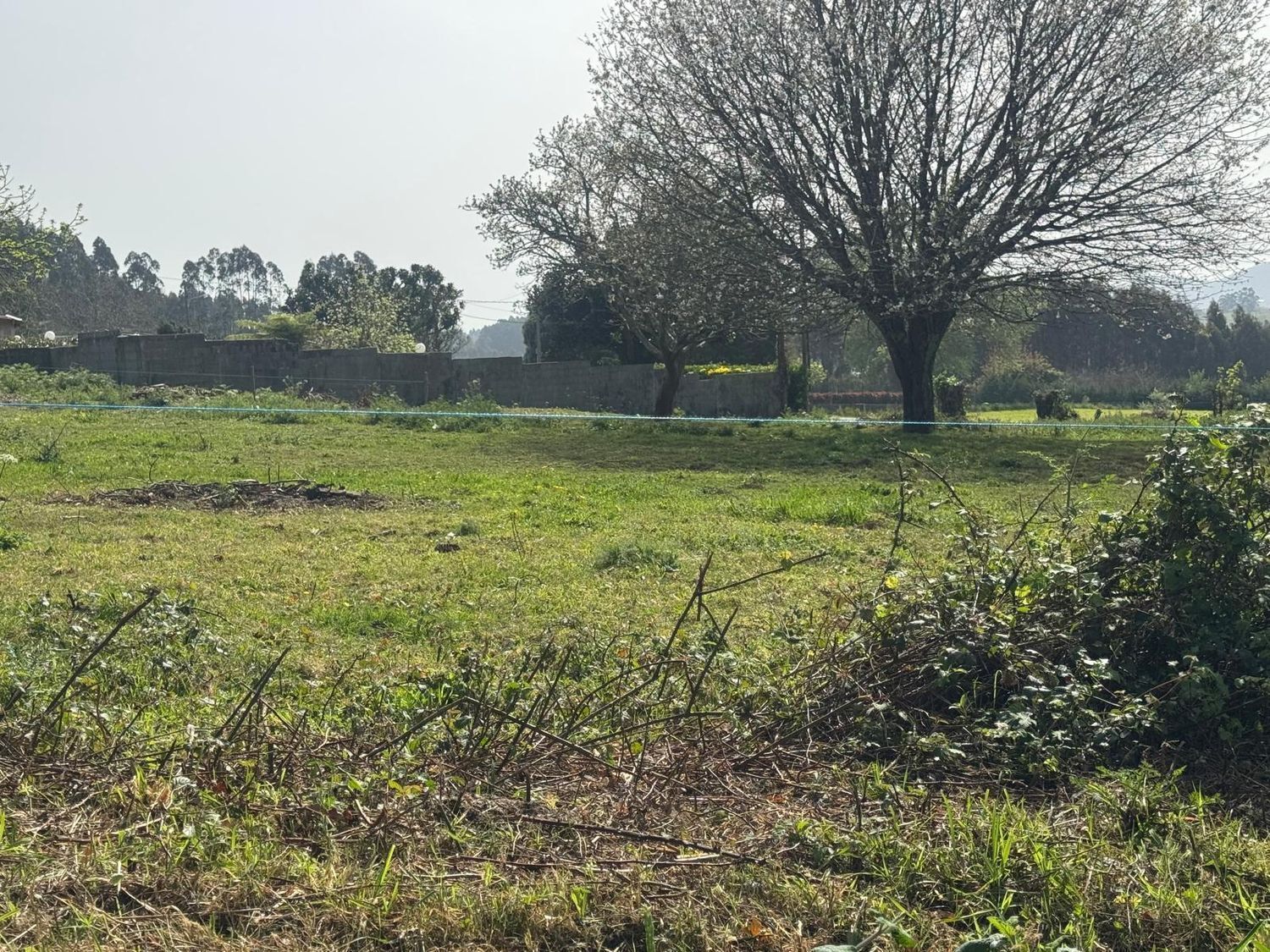 Pisos-Venta-ValdoviÃ±o-2419016-Foto-17