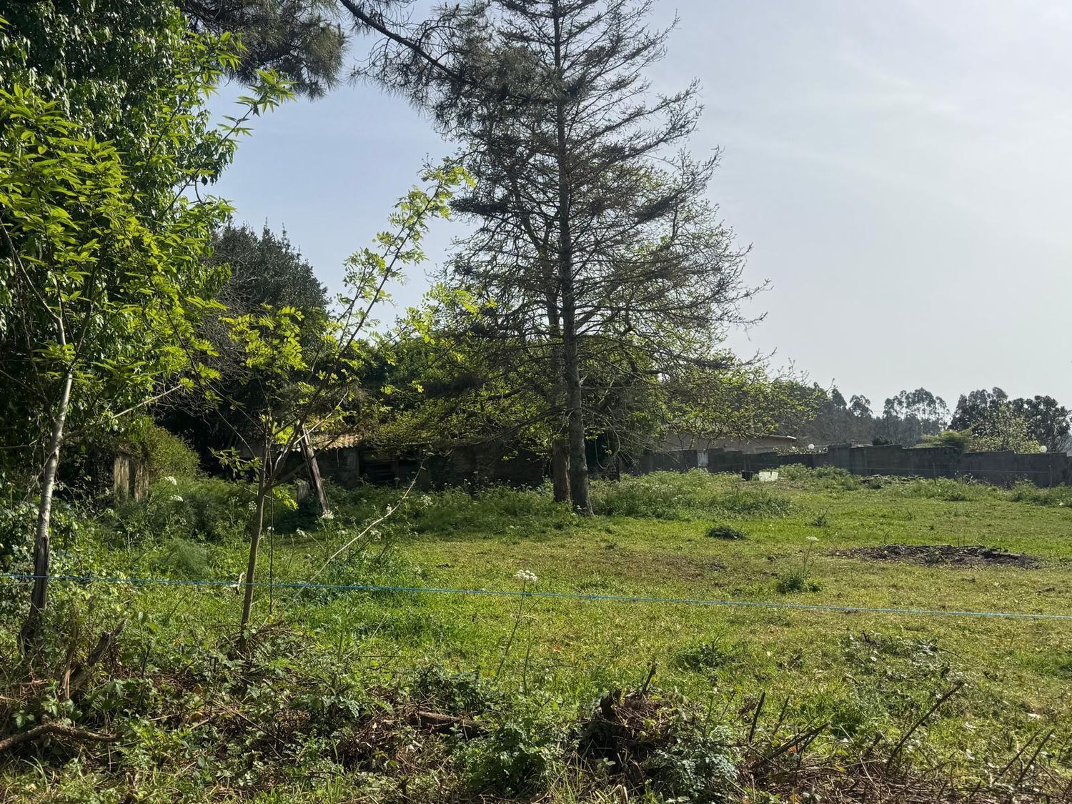 Pisos-Venta-ValdoviÃ±o-2419016-Foto-18