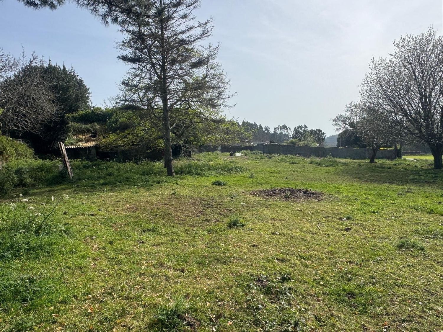 Pisos-Venta-ValdoviÃ±o-2419016-Foto-22