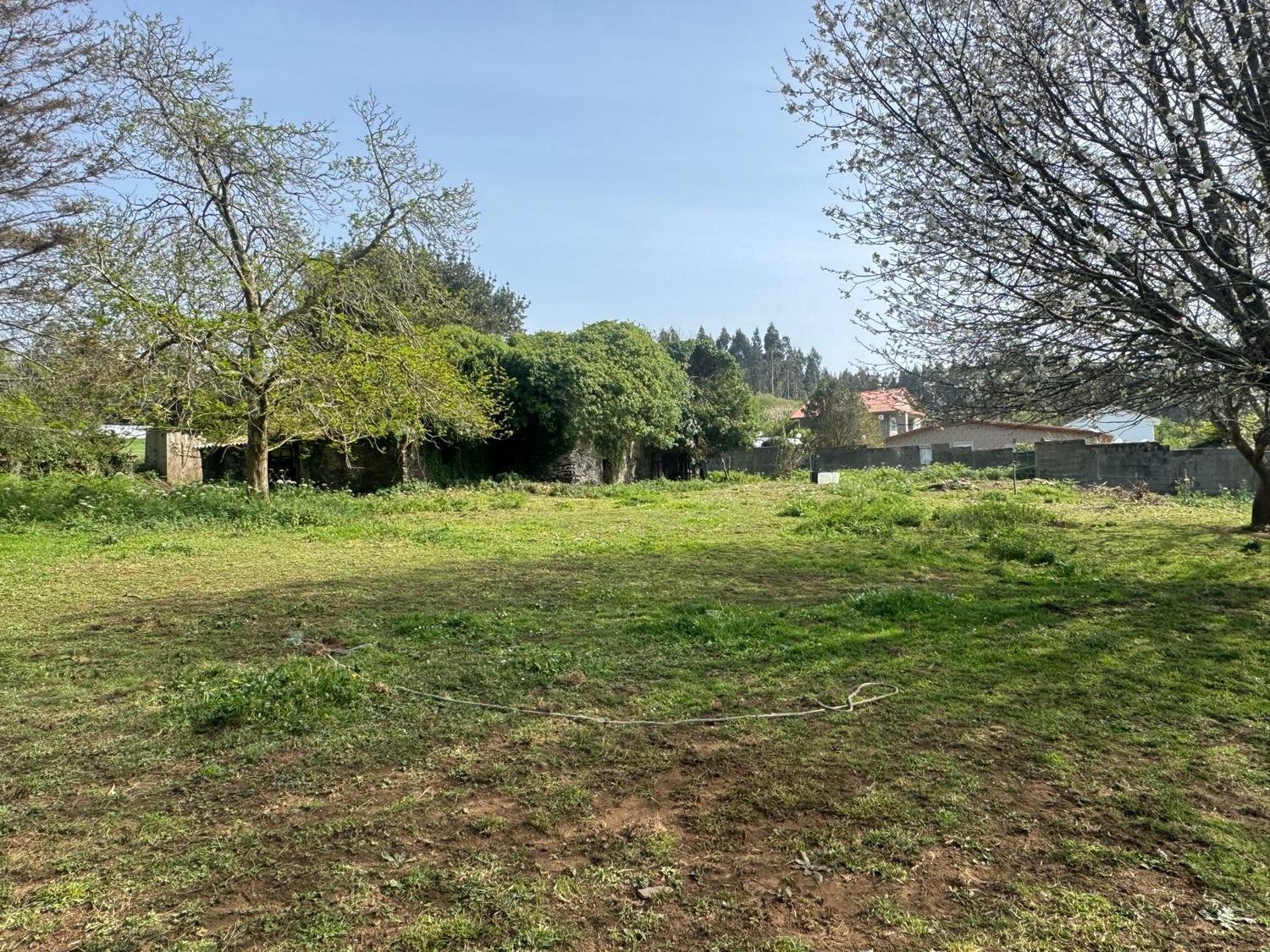 Pisos-Venta-ValdoviÃ±o-2419016-Foto-23