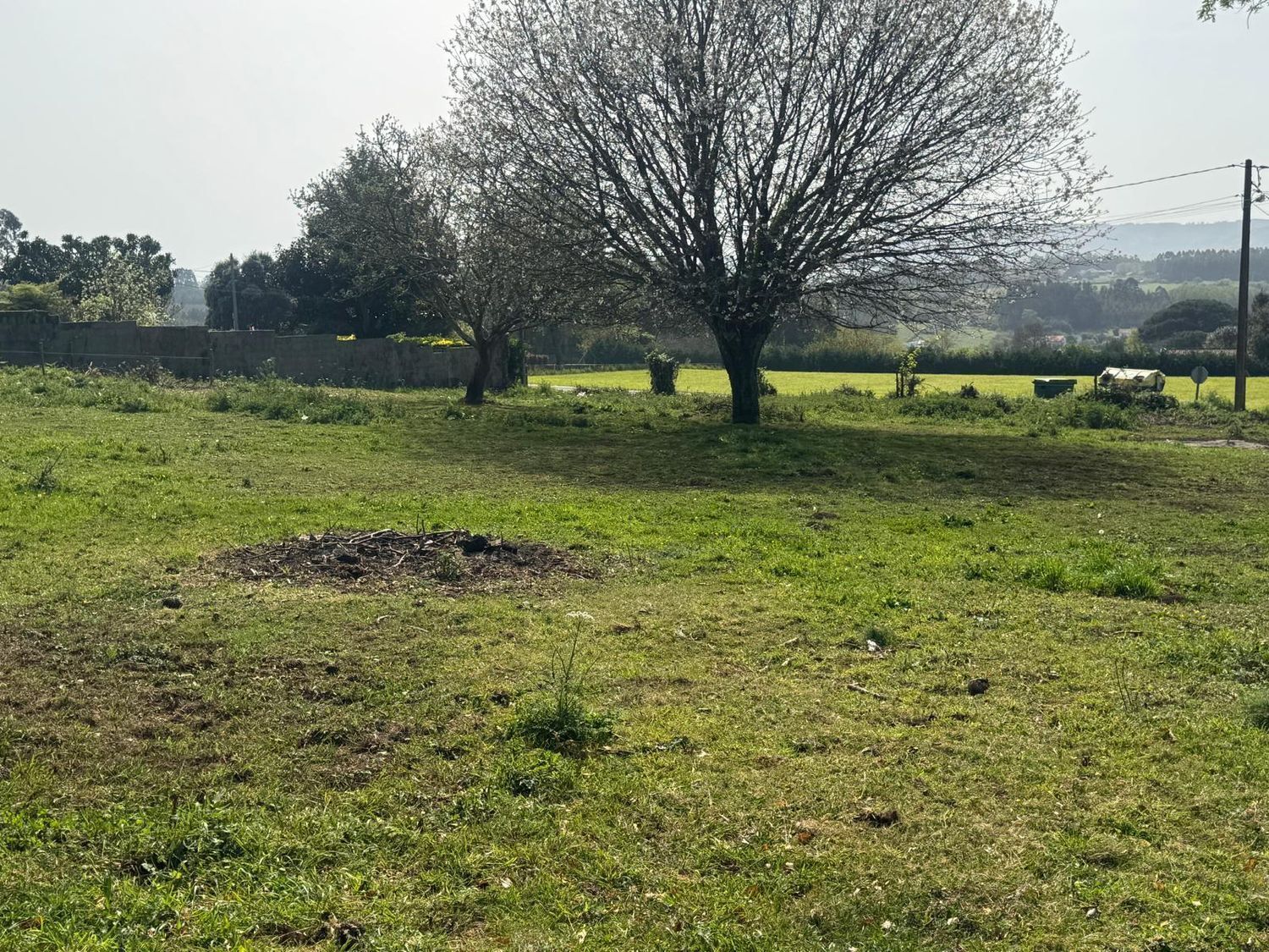 Pisos-Venta-ValdoviÃ±o-2419016-Foto-25