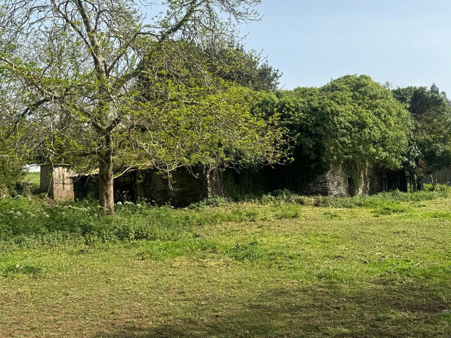 Pisos-Venta-ValdoviÃ±o-2419016-Foto-24