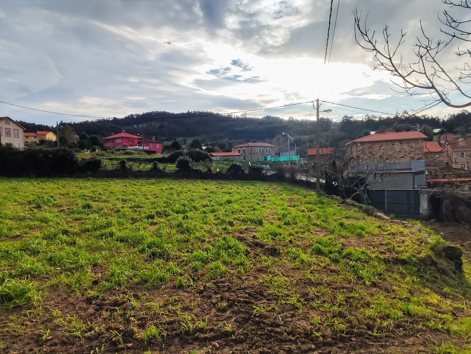 Fincas y solares-Venta-Arteixo-2419046-Foto-3
