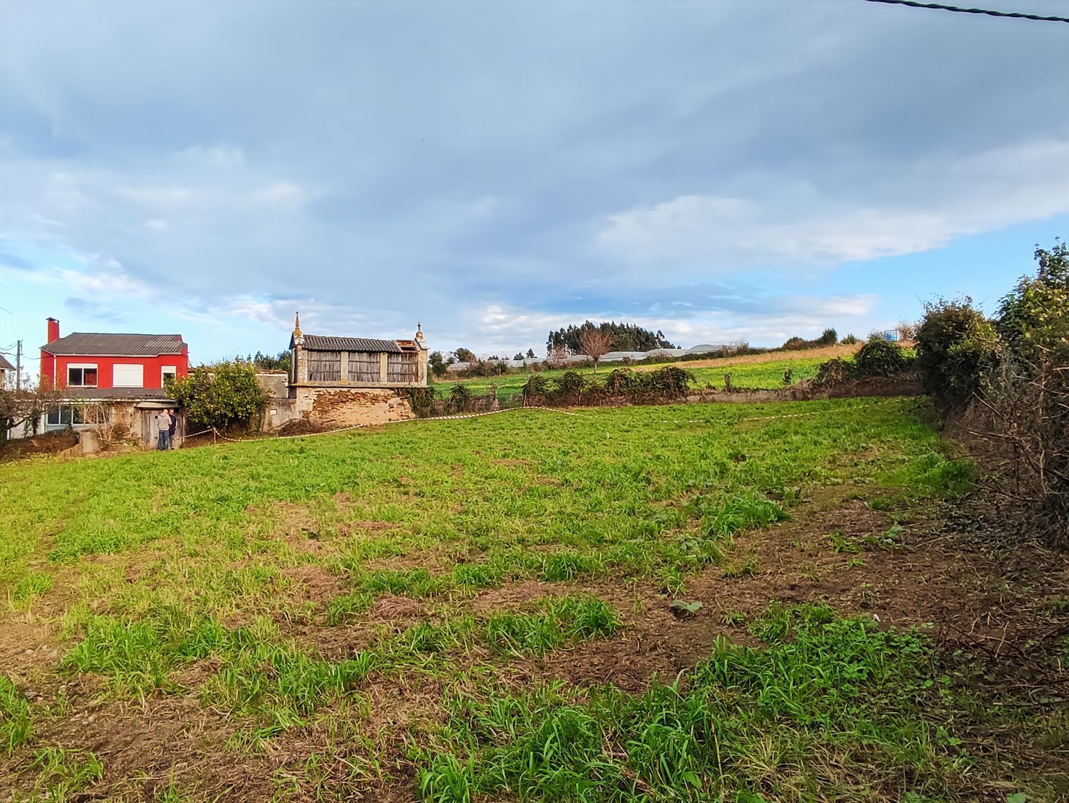 Fincas y solares-Venta-Arteixo-2419046-Foto-12