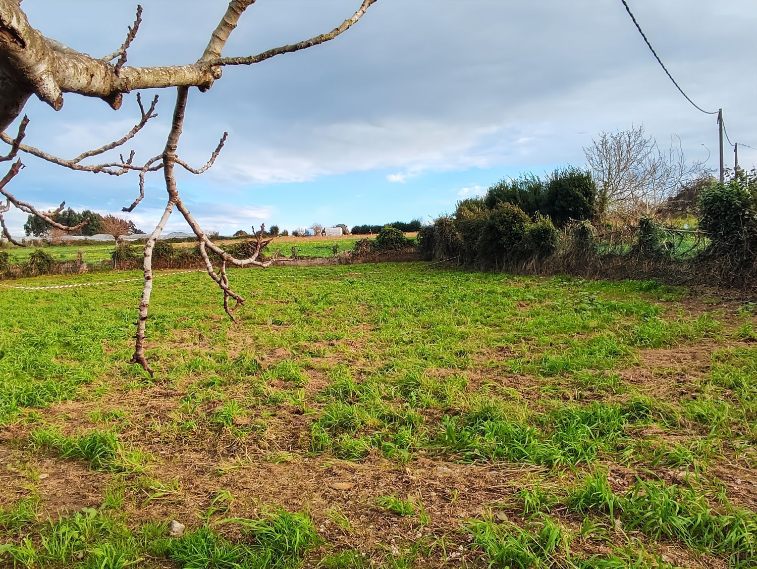 Fincas y solares-Venta-Arteixo-2419046-Foto-11