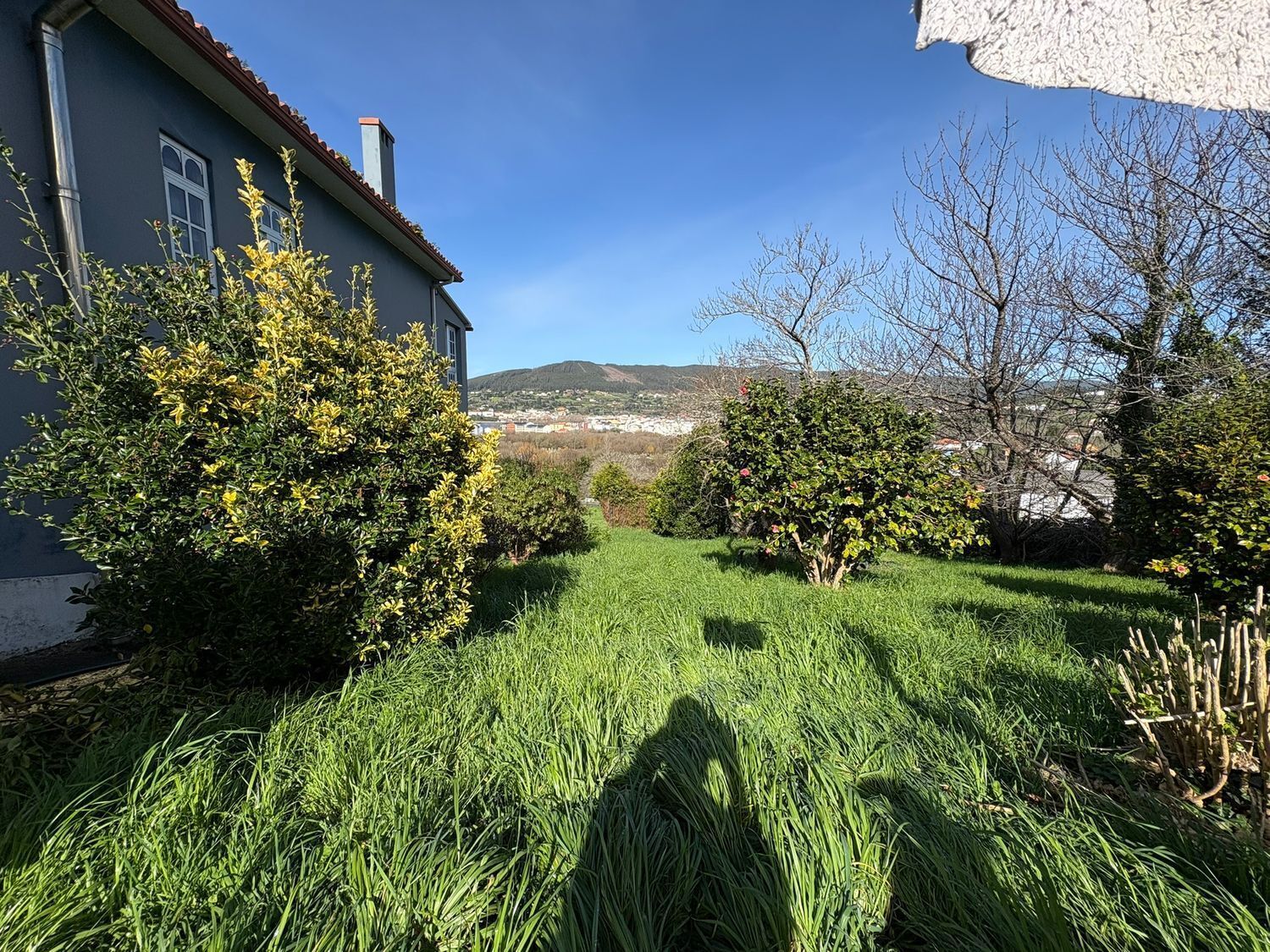 Casas o chalets-Venta-Cedeira-2419097-Foto-22
