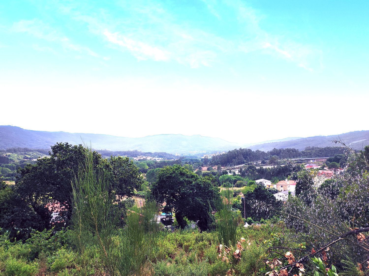 Fincas y solares-Venta-Culleredo-2419103-Foto-8