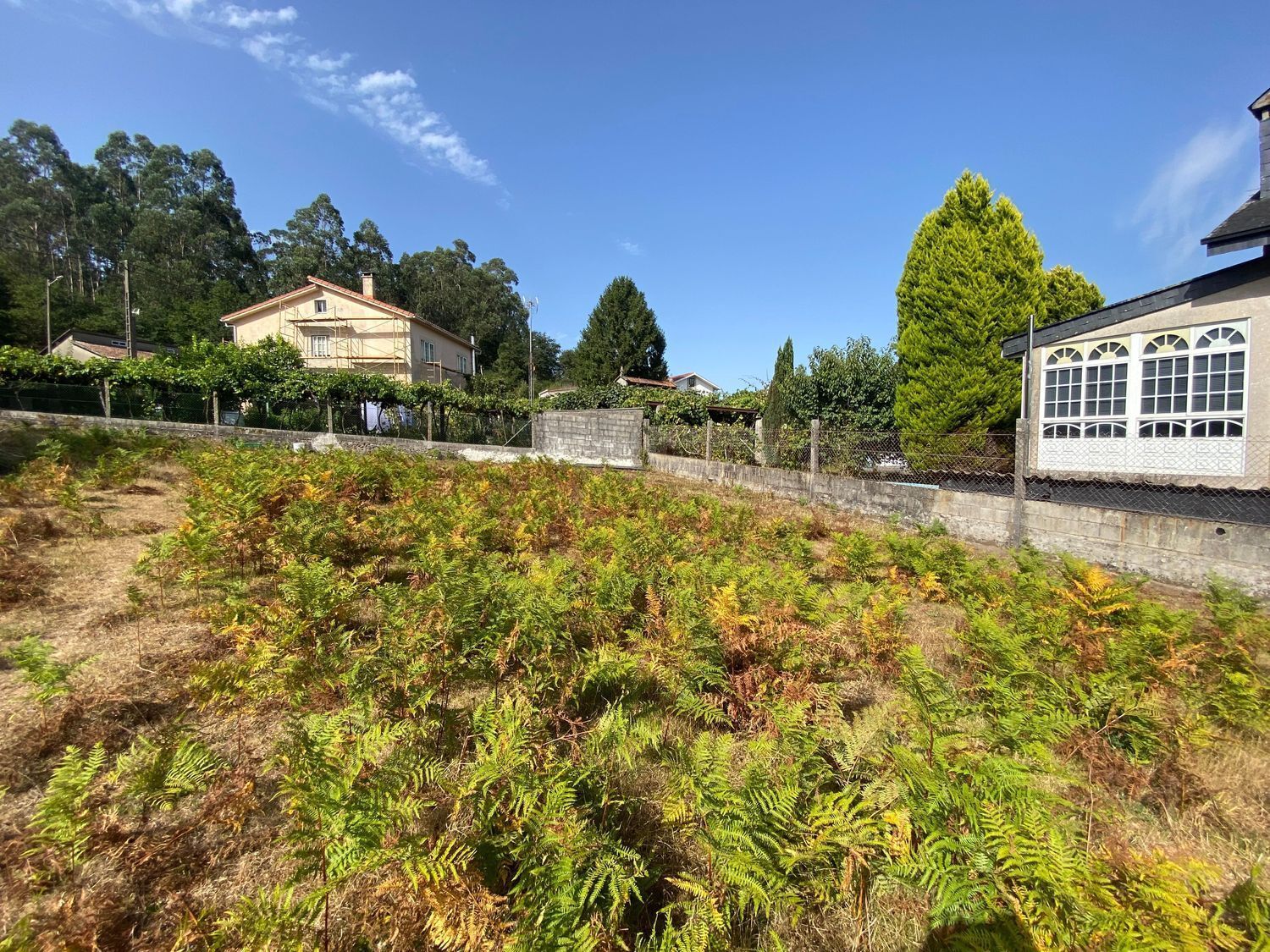 Fincas y solares-Venta-Ames-2419112-Foto-2