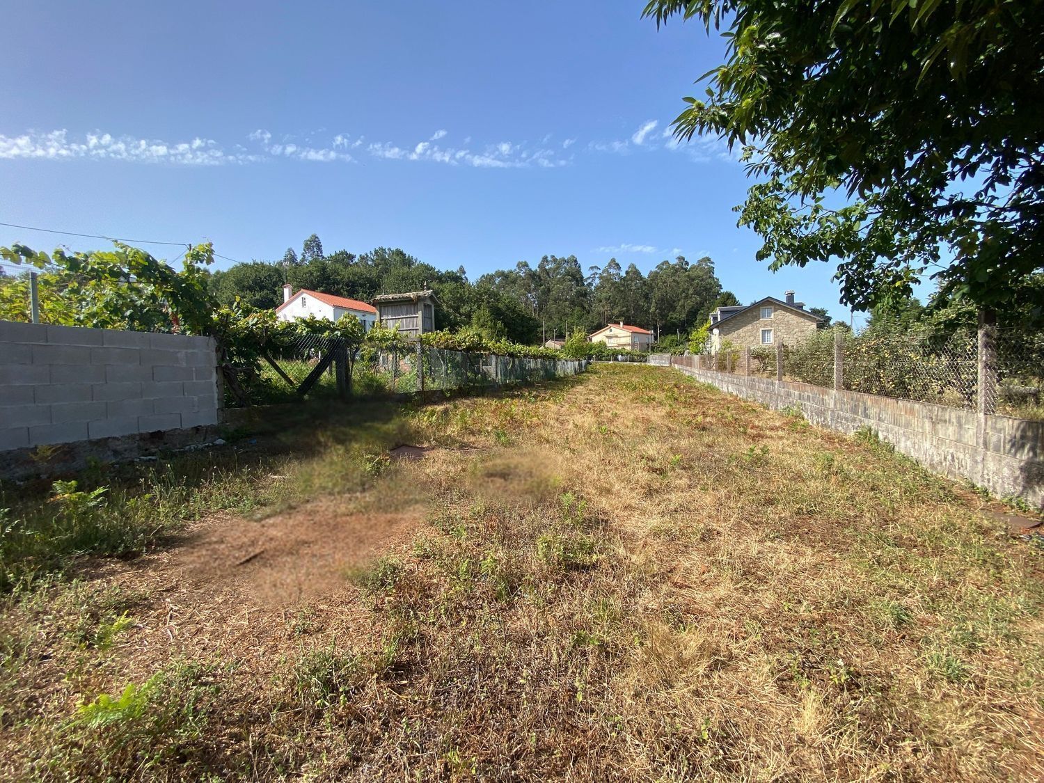 Fincas y solares-Venta-Ames-2419112-Foto-5