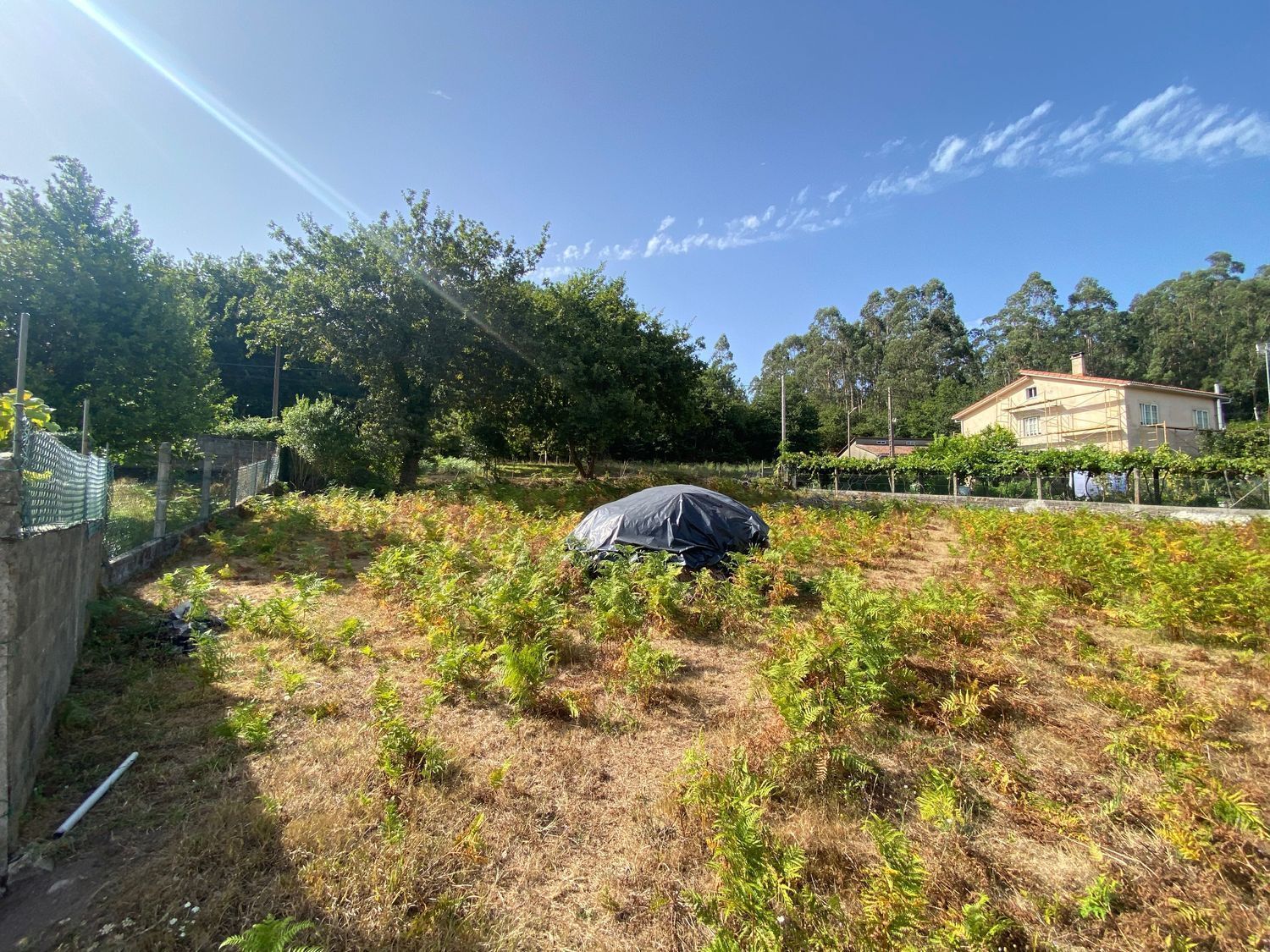 Fincas y solares-Venta-Ames-2419112-Foto-10