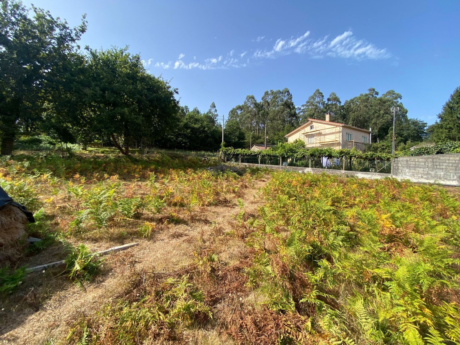 Fincas y solares-Venta-Ames-2419112-Foto-8