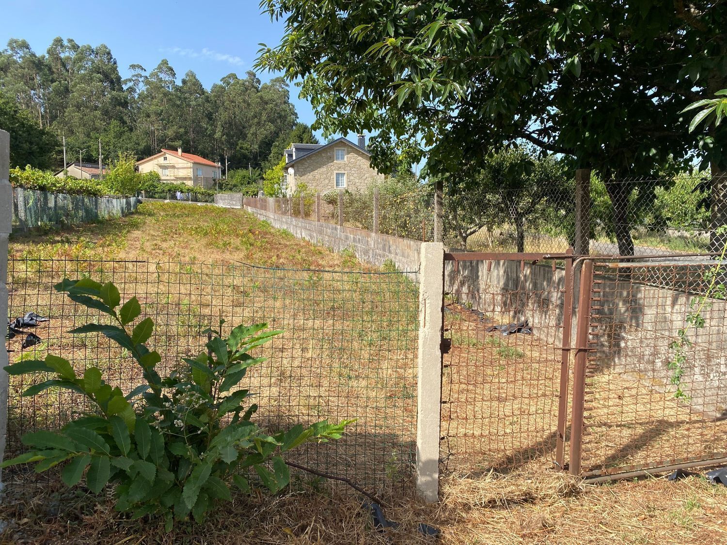 Fincas y solares-Venta-Ames-2419112-Foto-6