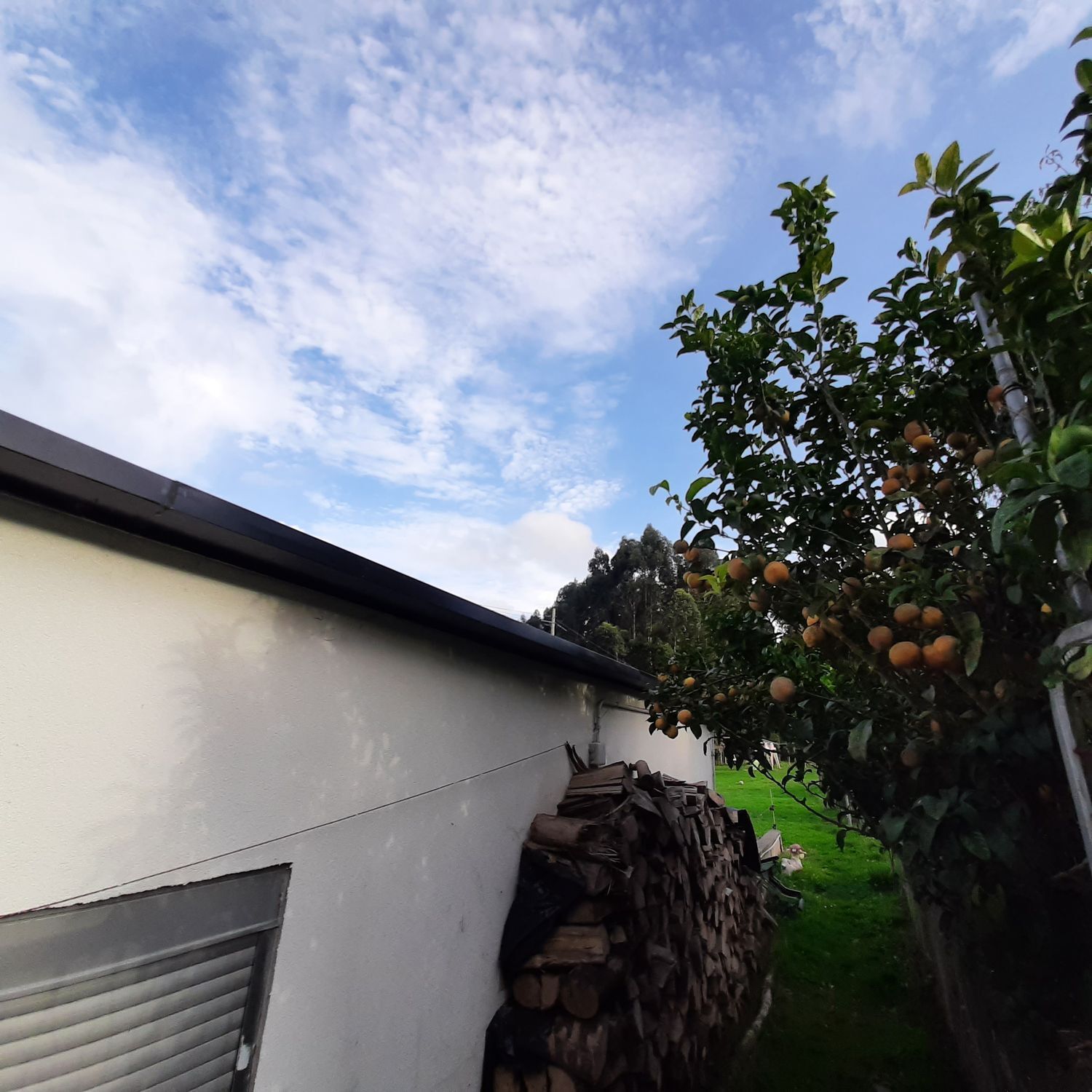 Casas o chalets-Venta-MaÃ±Ã³n-2419115-Foto-35