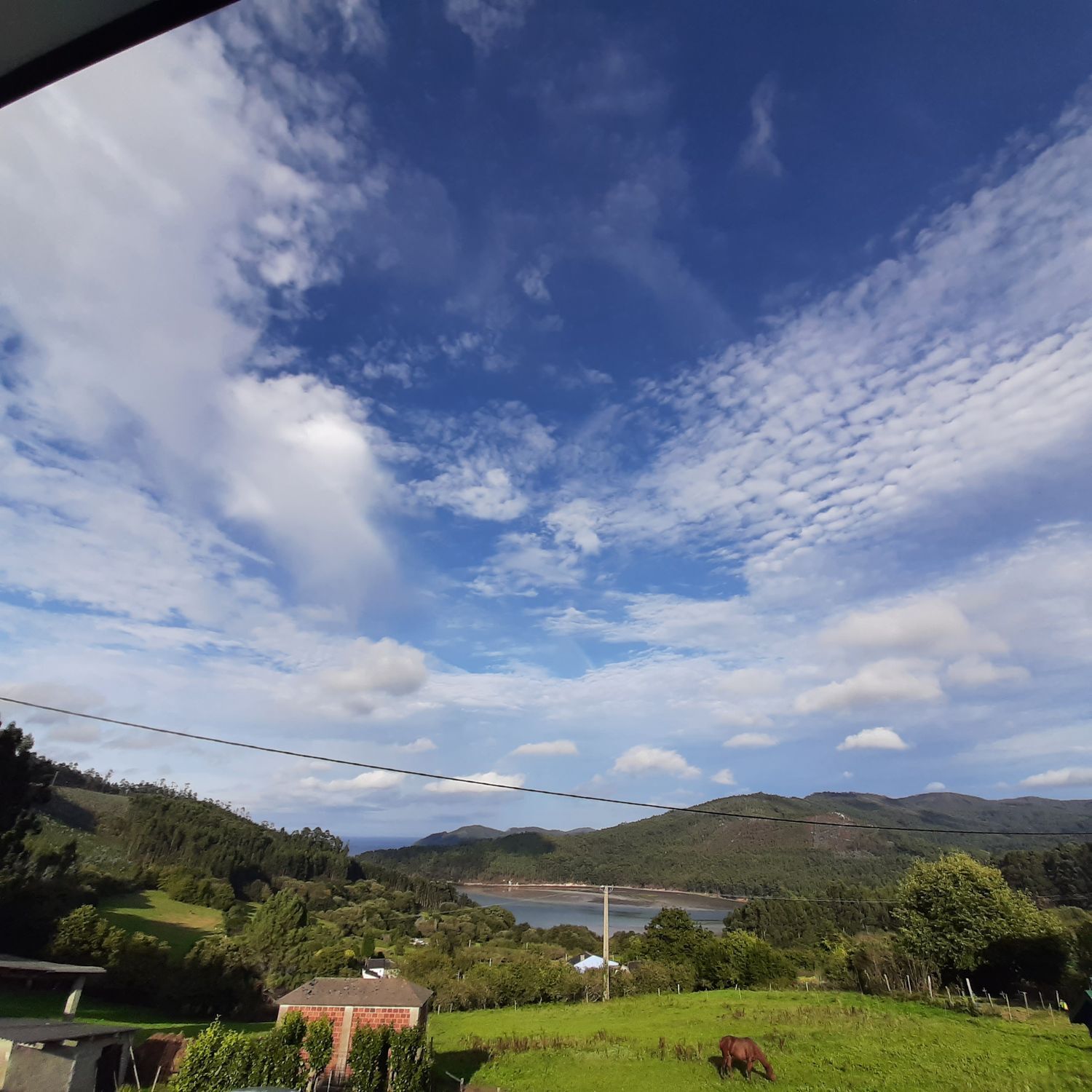 Casas o chalets-Venta-MaÃ±Ã³n-2419115-Foto-37