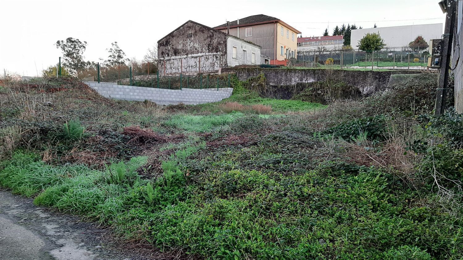 Fincas y solares-Venta-Santiago de Compostela-2419124-Foto-4